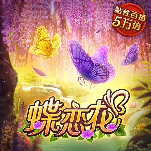 何龙海助攻段刘愚破门，西海岸1